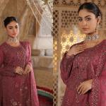 Momina's Mehroon DESIGN-01 Vol-03