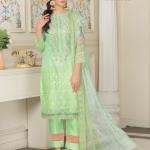 Shehnai Chicken Stitched Organza Pista